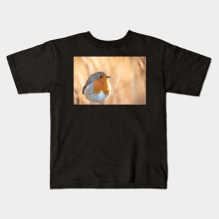 Robin redbreast in gold Kids T-Shirt